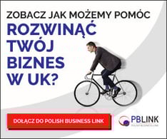 PBlink_new_website_promo_PL_300X250